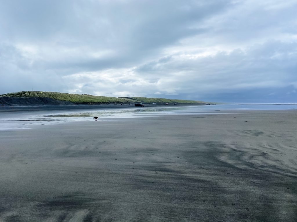 A Clatsop beach at low tide - the perfect time to dig for razor clams.
