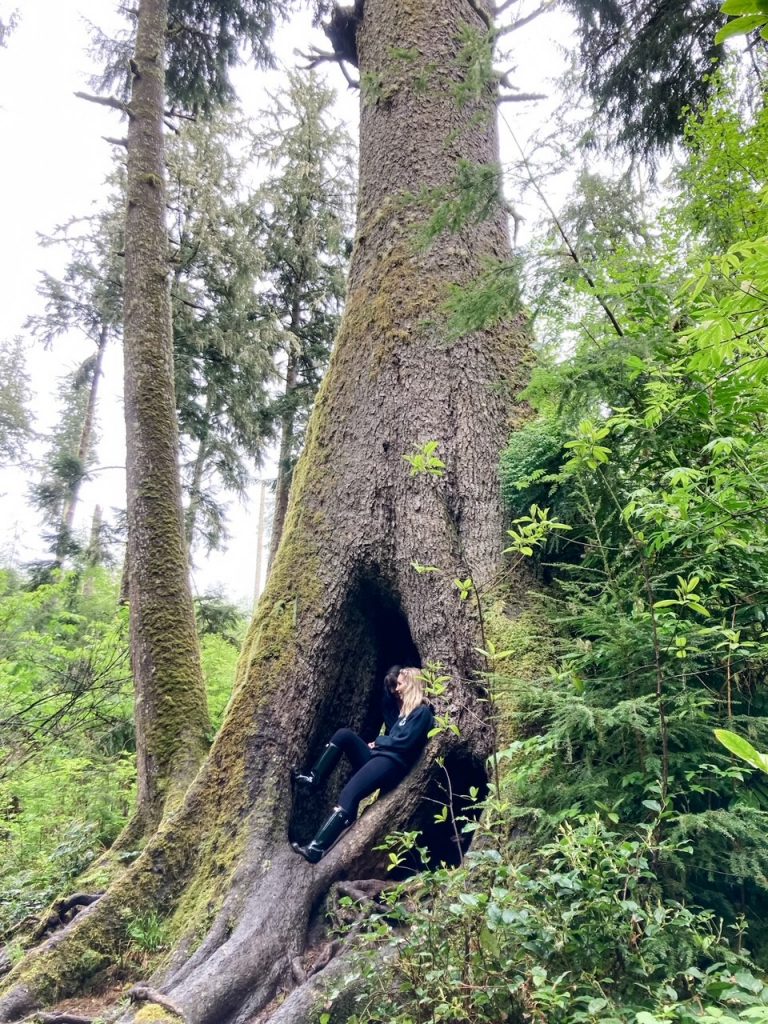 11 Completely Free Things To Do In Astoria, Oregon (in 2024)