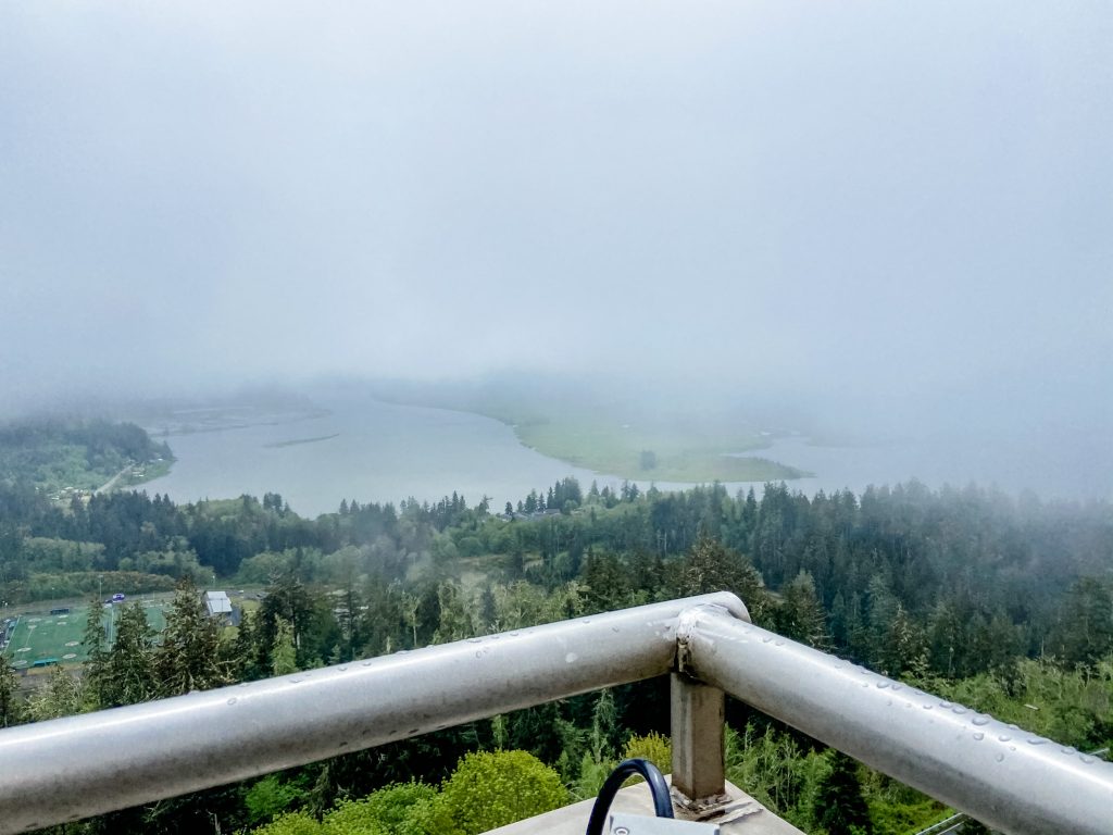 Fog blankets the trees and Columbia River, as viewed from the top of the Astoria Column.