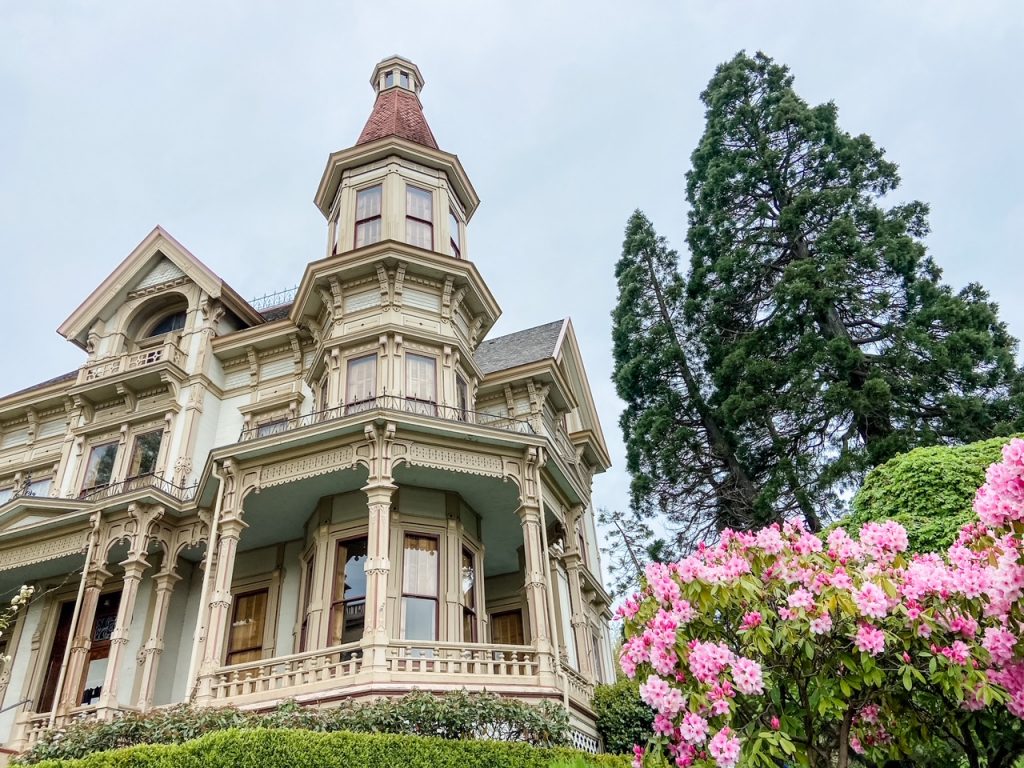 Photo of the Flavel House Museum, a restored Victorian mansion with tall evergreens and pink rhododendron, a beautiful place to visit after moving to Astoria, Oregon.