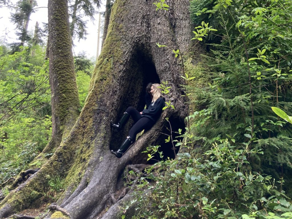 Cathedral Tree Trail in Astoria, Oregon.