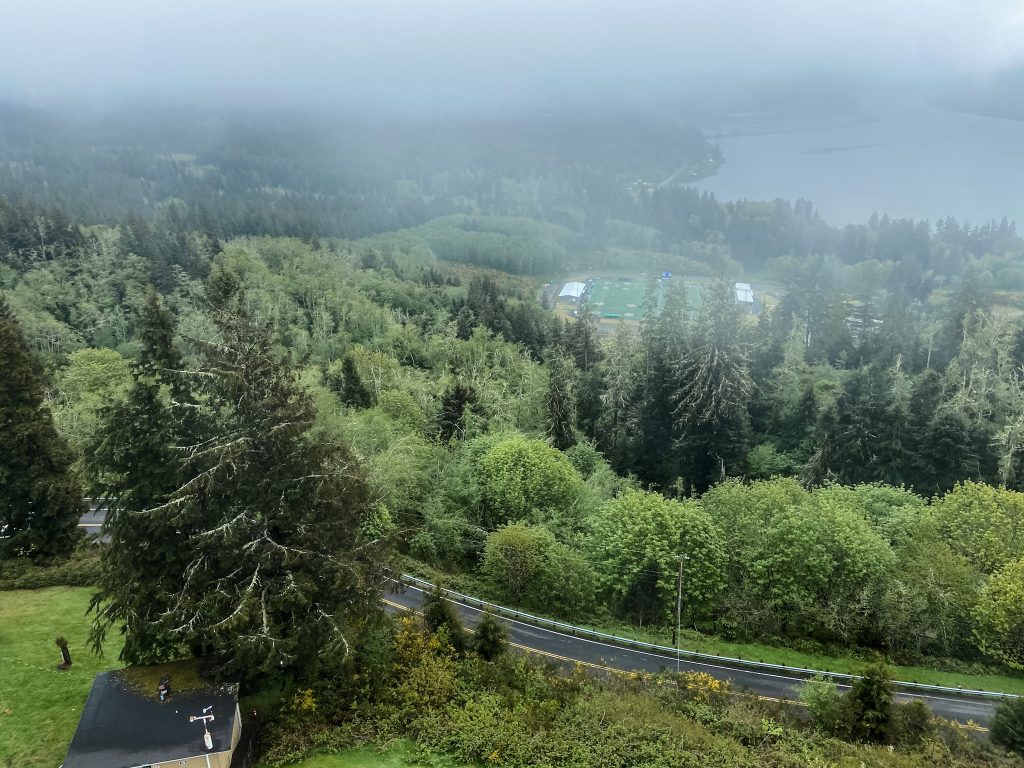 A layer of fog sits over the pine trees and the Columbia River in Astoria, Oregon.