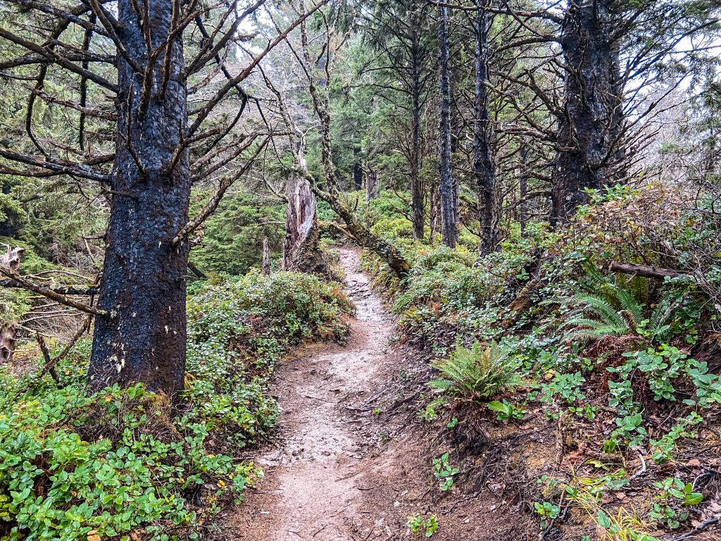 Ecola State Park Indian Beach Trail.