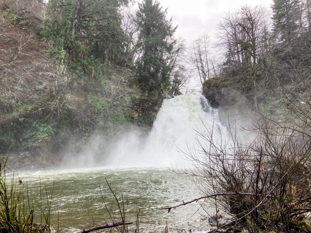 (Young's River Falls) Youngs River Falls, a waterfall in Astoria, Oregon, during winter.