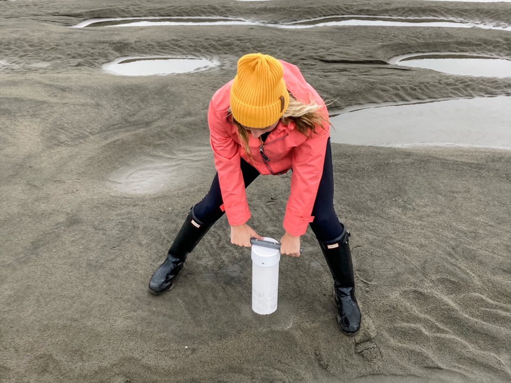 Girl in pink rain jacket digs a clam gun into the sand at Fort Stevens State Park, digging for razor clams.
