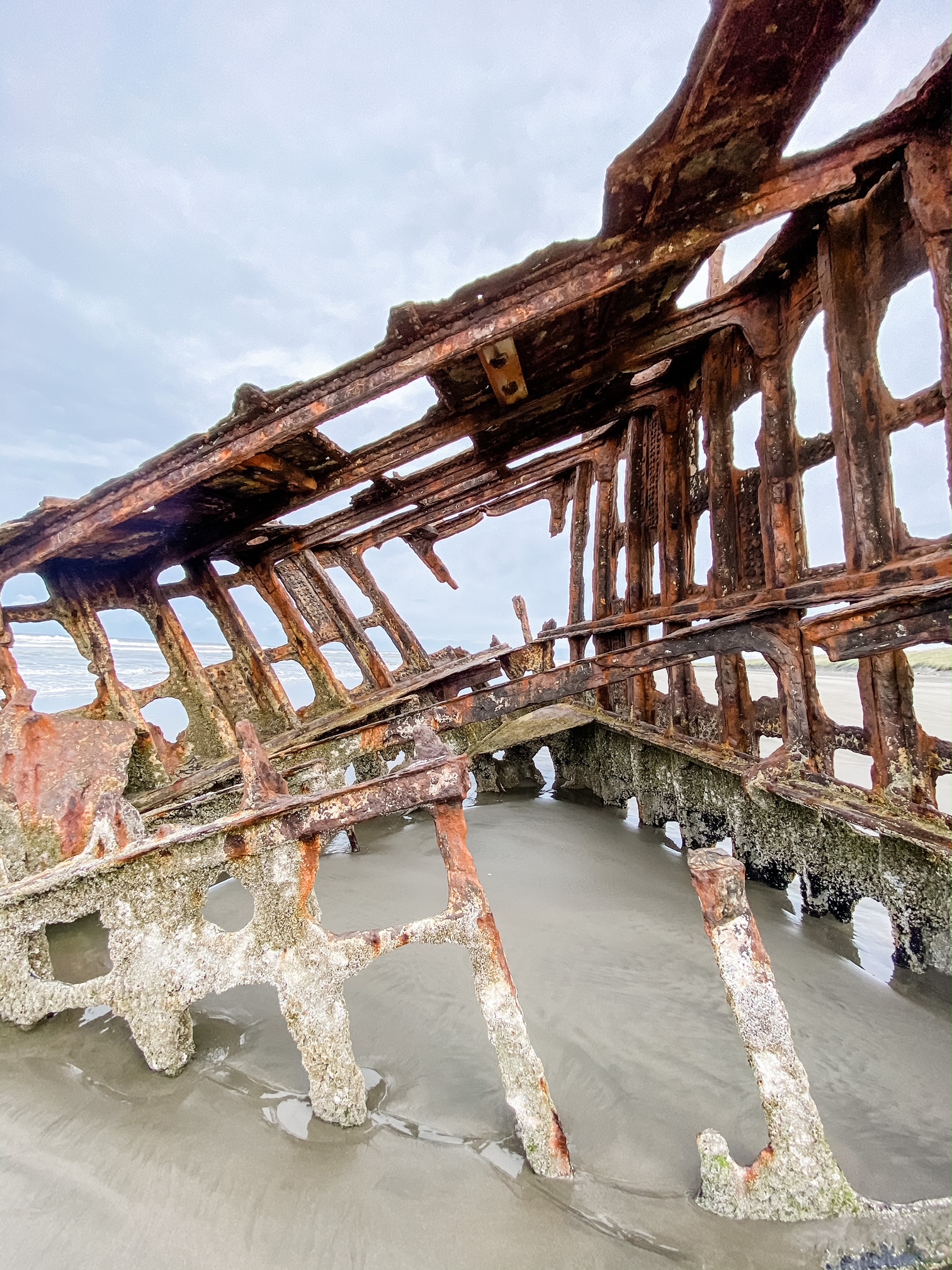 Fort Stevens State Park: Ultimate Guide to Camping, Trails, & Outdoor Activities (in 2024)
